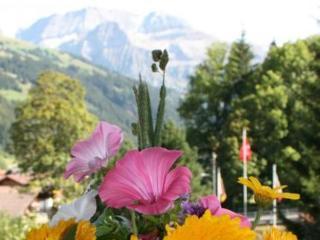 Hotel Waldrand