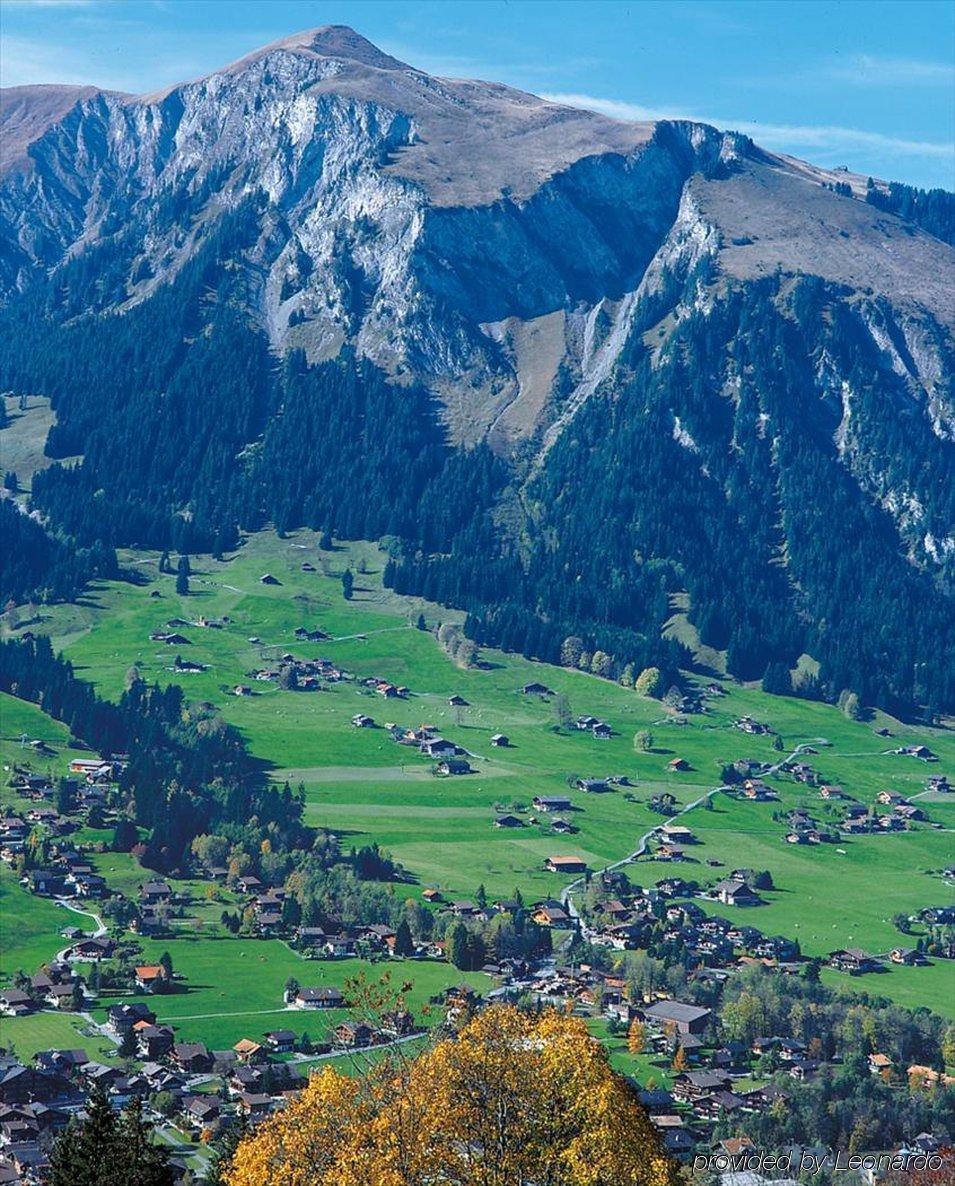 Waldrand Lenk