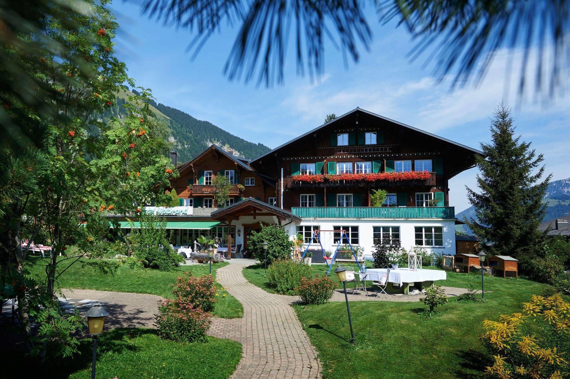 Waldrand Lenk