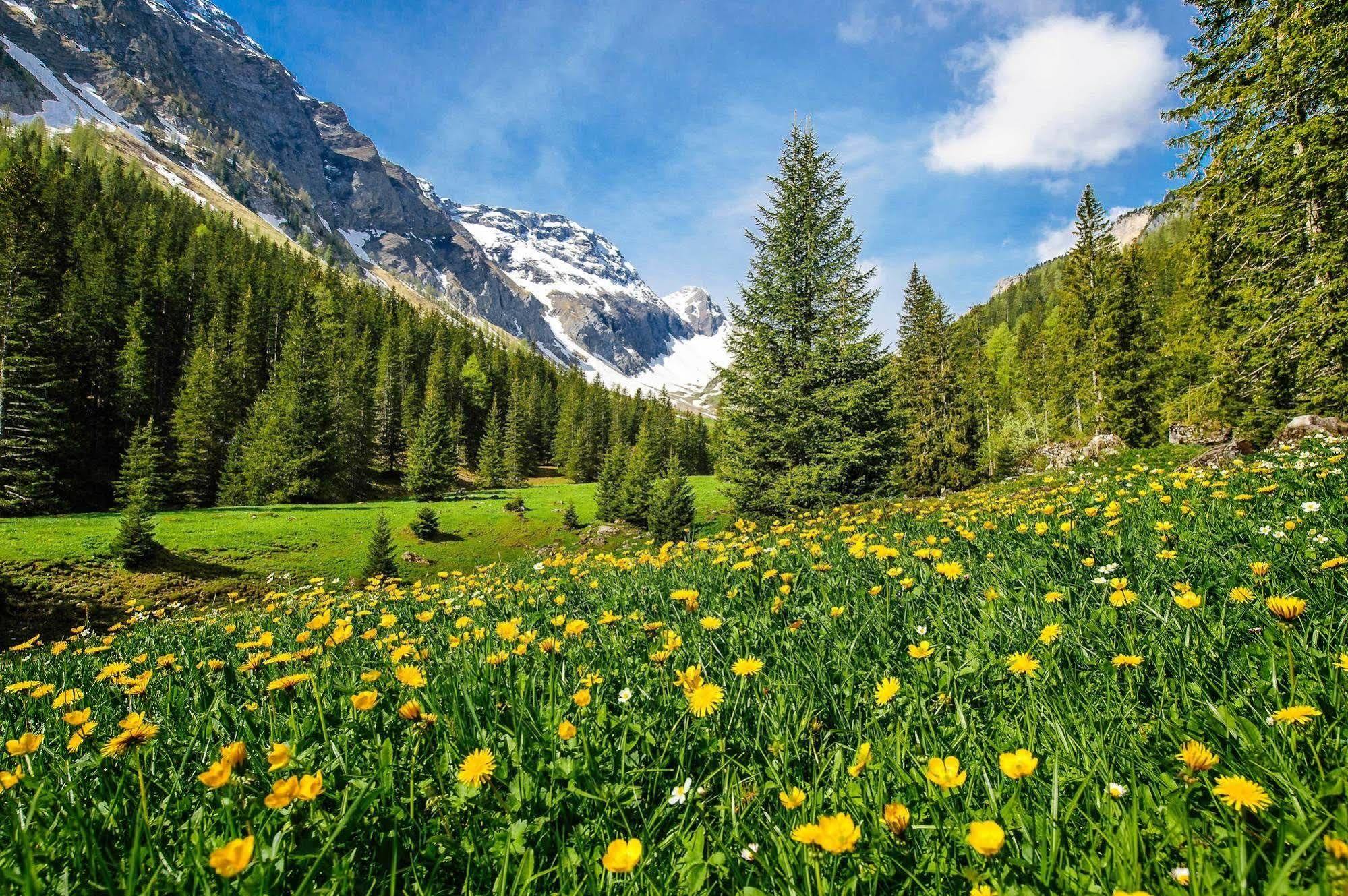 Waldrand Hotel Lenk