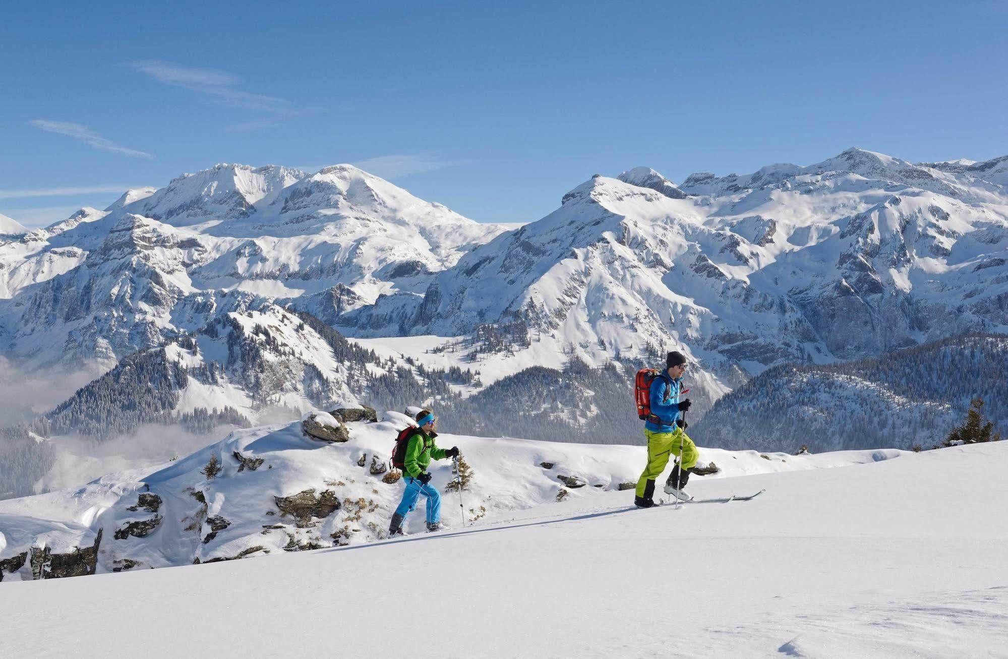 Waldrand Lenk